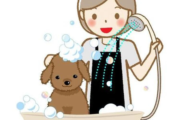 【トリマーブログ】仔犬ちゃんのシャンプーデビューを応援します🐶