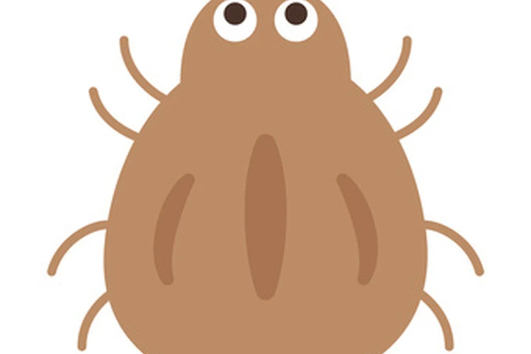 SFTSのマダニ