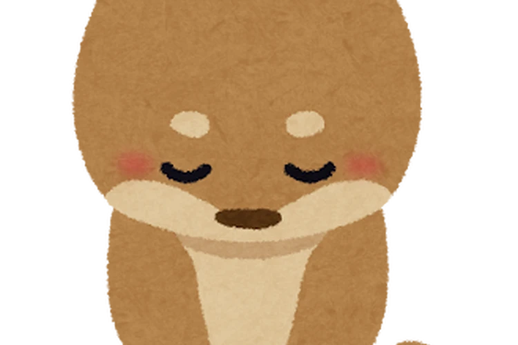 診療時間